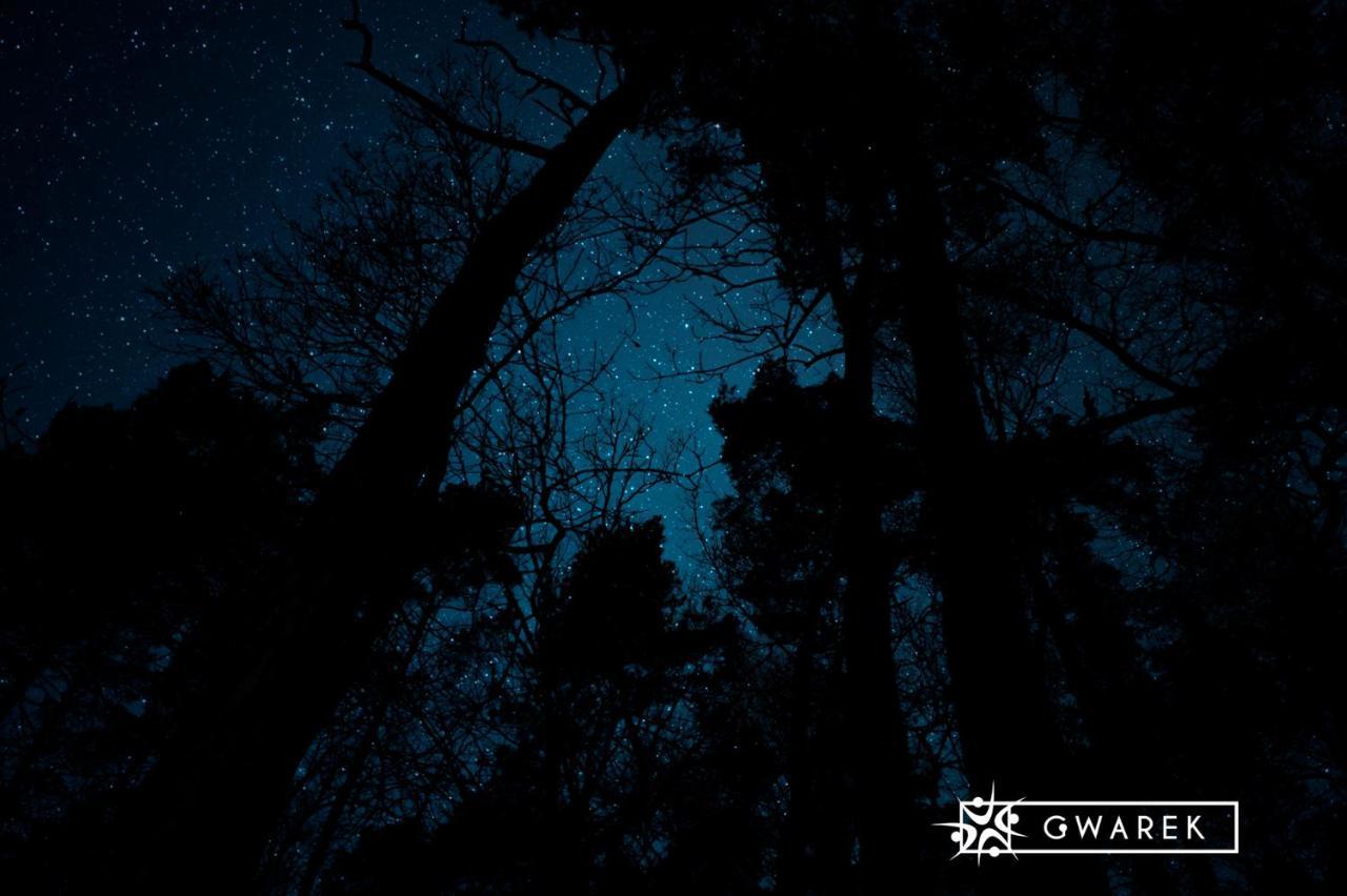 Hotel Osrodek Wypoczynkowy Gwarek Mazury Lötzen Exterior foto